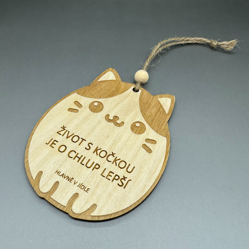Život s kočkou je o chlup lepší - dekorace na pověšení